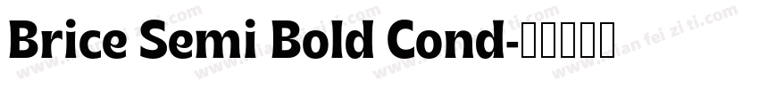 Brice Semi Bold Cond字体转换